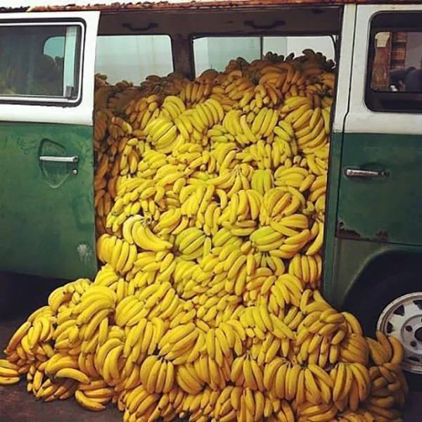 Unusual transportation around the world - #23 