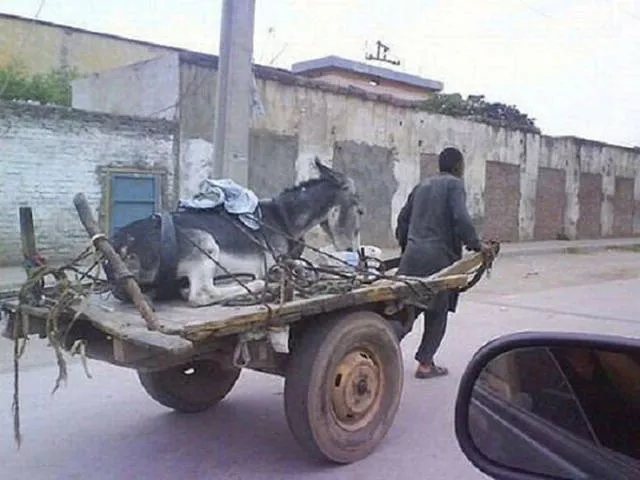 Unusual transportation around the world - #25 