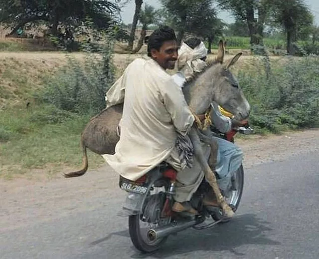 Unusual transportation around the world - #26 