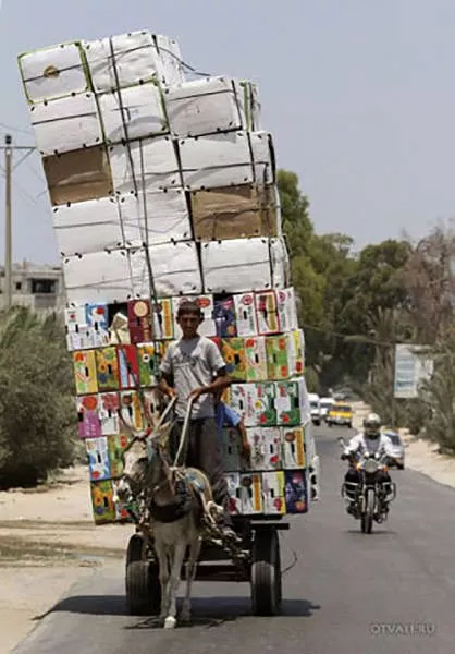 Unusual transportation around the world - #30 