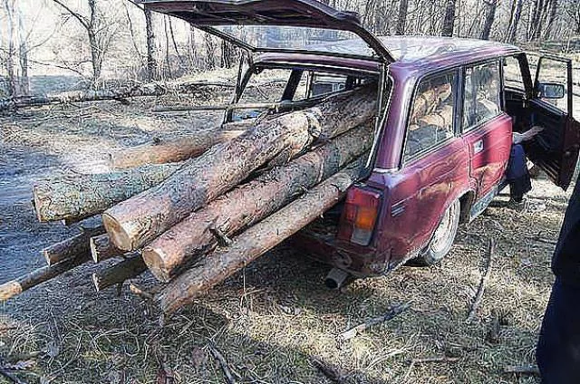 Unusual transportation around the world - #37 
