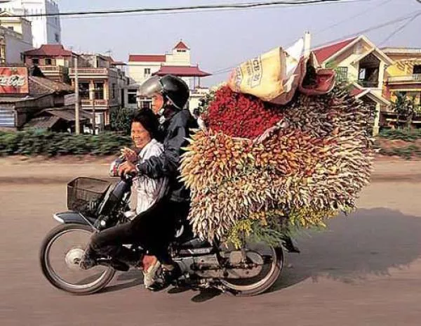 Unusual transportation around the world - #39 