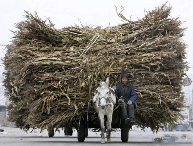 Unusual transportation around the world - #47 