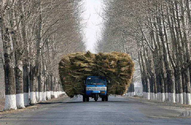 Unusual transportation around the world - #49 