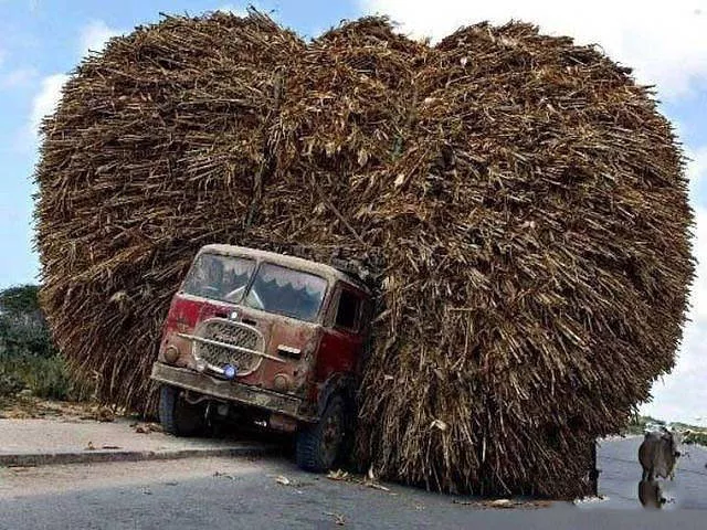 Unusual transportation around the world