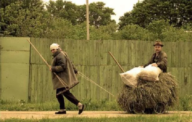 Unusual transportation around the world - #55 