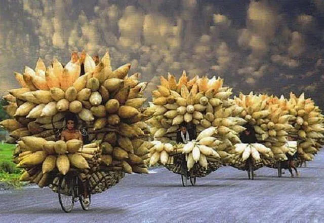 Unusual transportation around the world - #7 