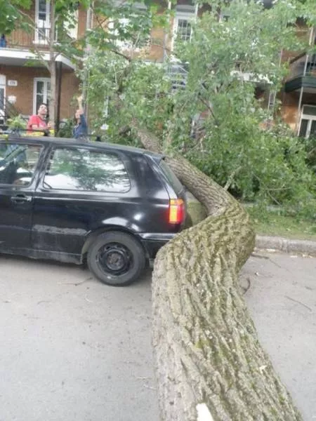 They barely escaped the worst - #4 
