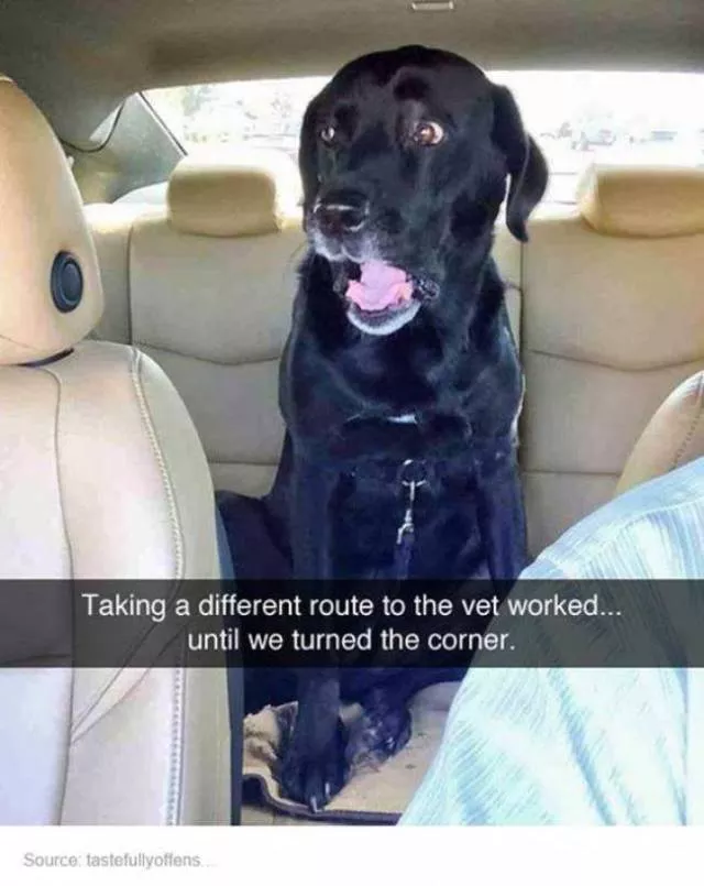 When cheating doesnt work - #7 
