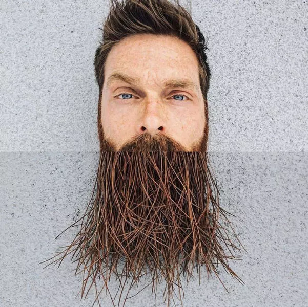 The art of assembling photos - #16 