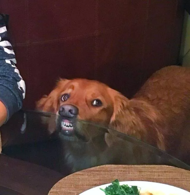 Picdump 297 - #101 