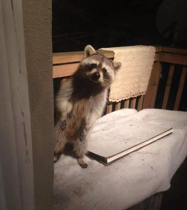 Picdump 297 - #28 