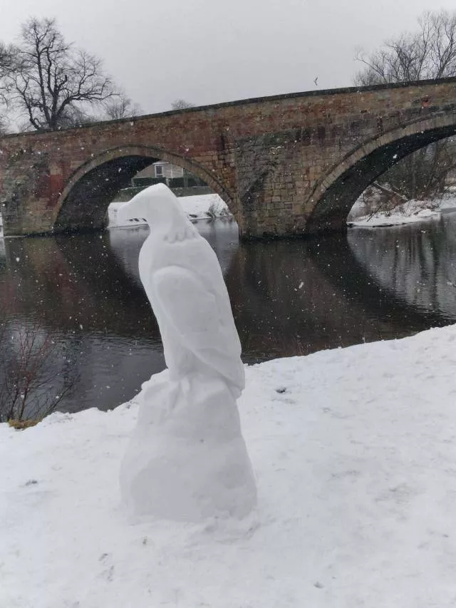 Picdump 297 - #29 