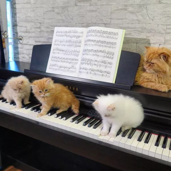Picdump 297 - #37 