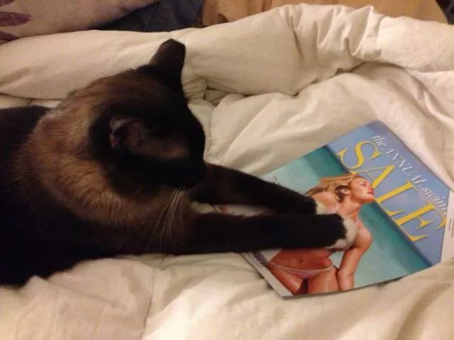 Picdump 297 - #40 