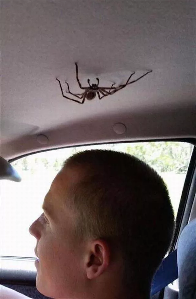 Picdump 297 - #41 