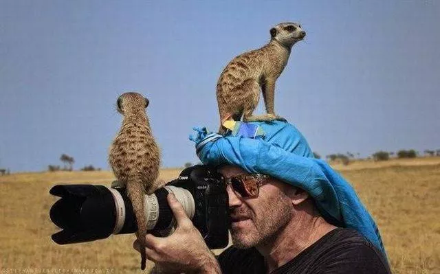 Picdump 297 - #45 