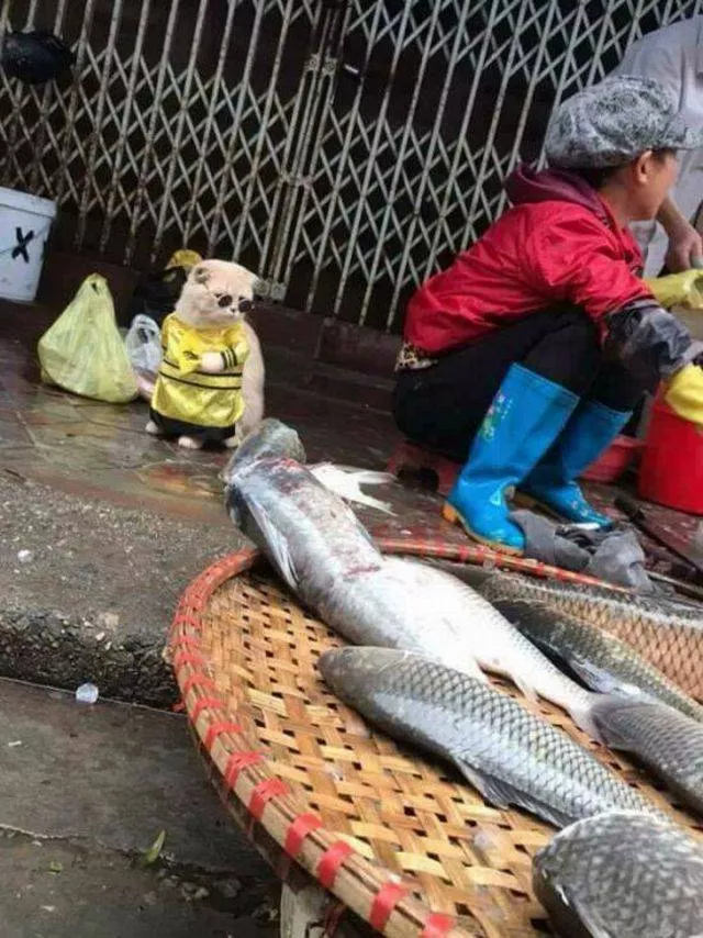 Picdump 297 - #5 
