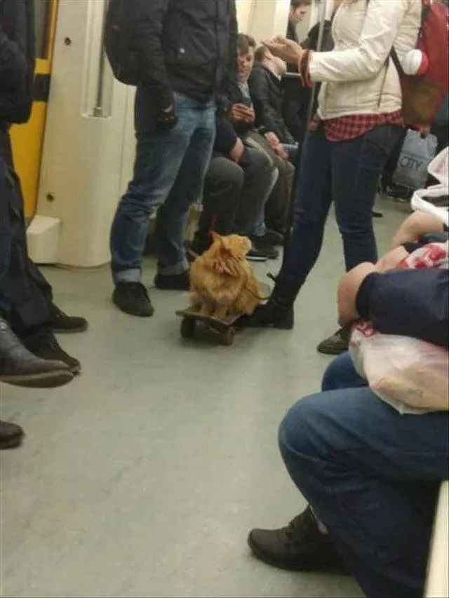 Picdump 297 - #57 