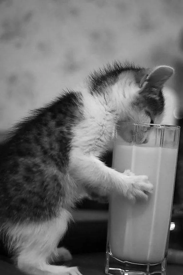 Picdump 297 - #74 