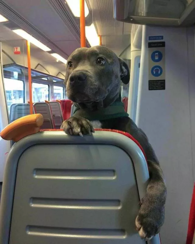 Picdump 297 - #90 Picdump 297 - #90
