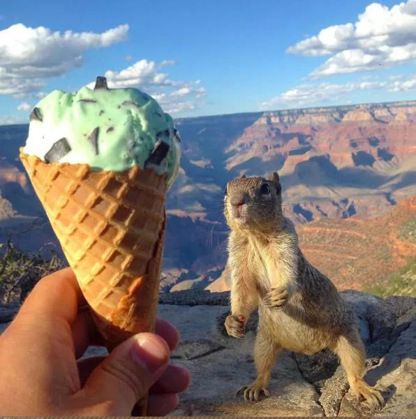 Picdump 56 - #20 