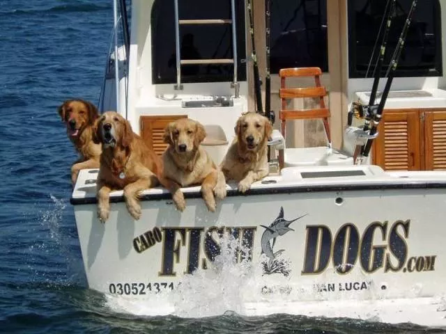 Picdump 56 - #32 