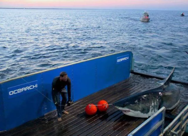 Picdump 56 - #35 