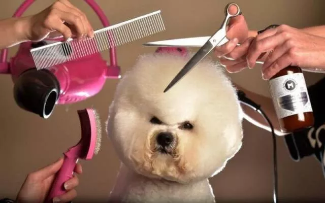 Picdump 56 - #40 
