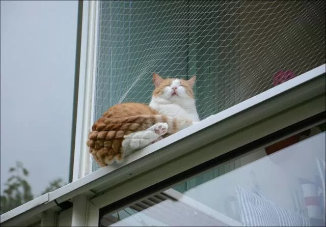 Picdump 56 - #44 
