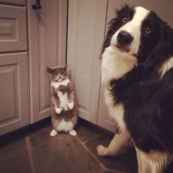 Picdump 56 - #52 
