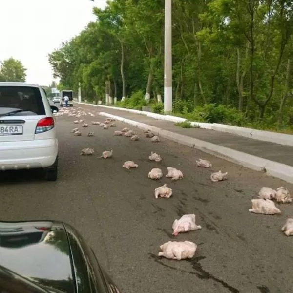 Picdump 56 - #56 