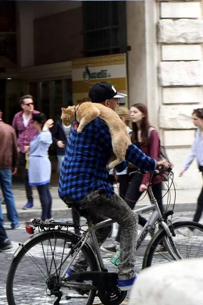 Picdump 56 - #59 