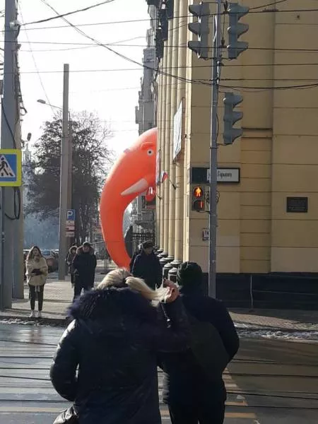 Picdump 298 - #12 