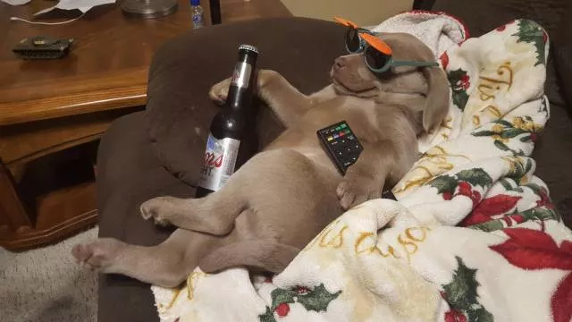 Picdump 298 - #36 