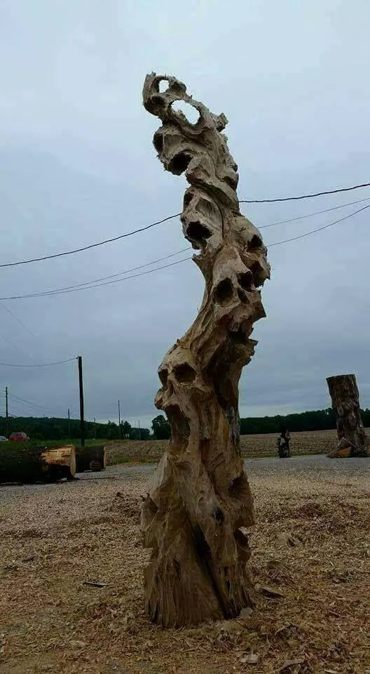 Picdump 298 - #37 