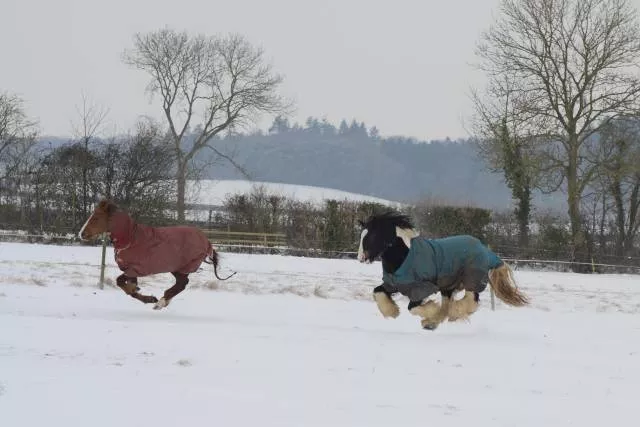 Picdump 298 - #7 