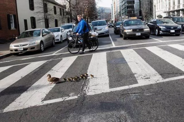 Picdump 299 - #10 