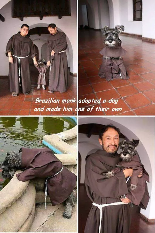 Picdump 299 - #13 