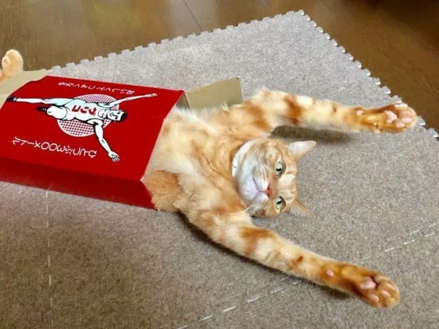 Picdump 299 - #15 