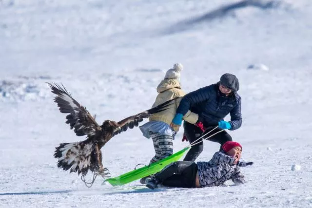 Picdump 299 - #18 