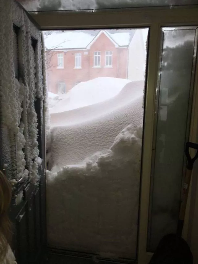Picdump 299 - #24 