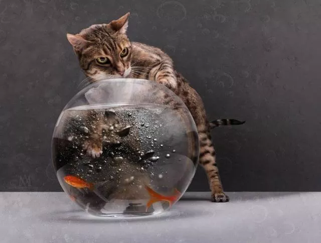 Picdump 299 - #42 