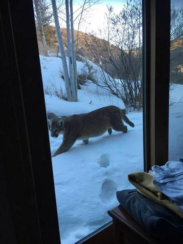Picdump 299 - #6 