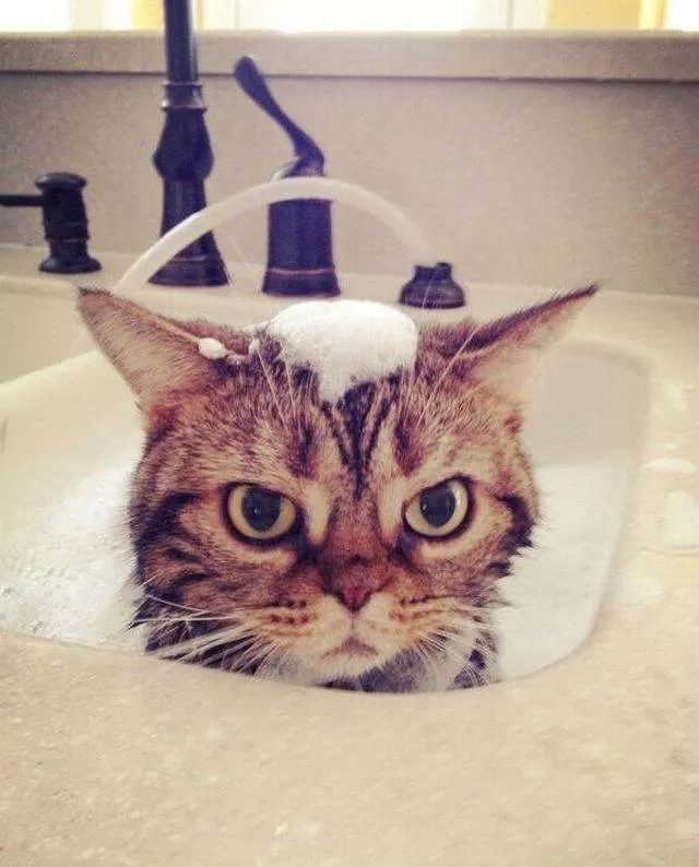 Picdump 299 - #80 