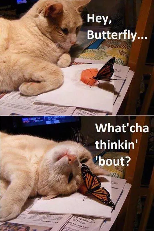 Picdump 301 - #54 