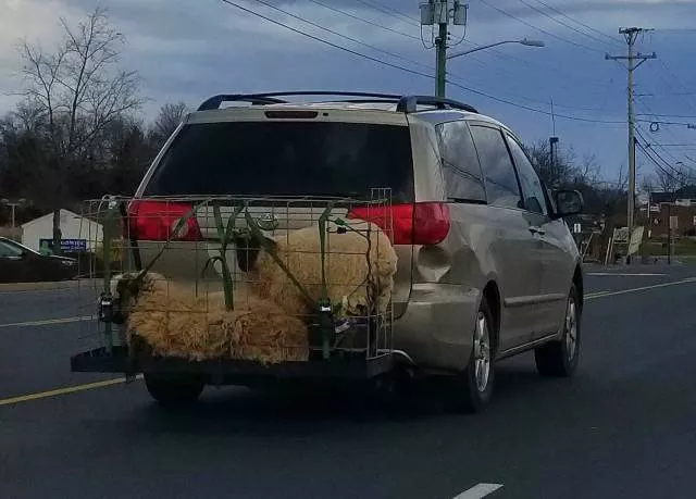 Picdump 302 - #32 