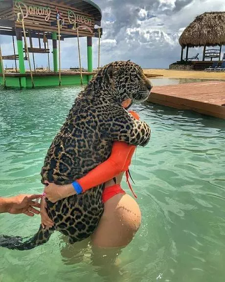 Picdump 302