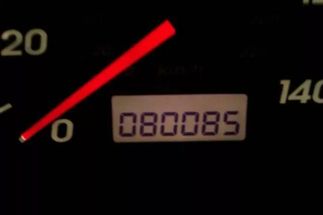 Adults who stay big kids - #45 