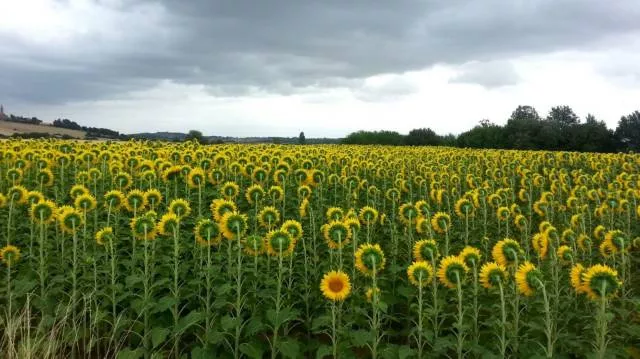 The best pictures of the week - #10 